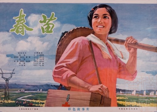 中等学历证书查询官方网站